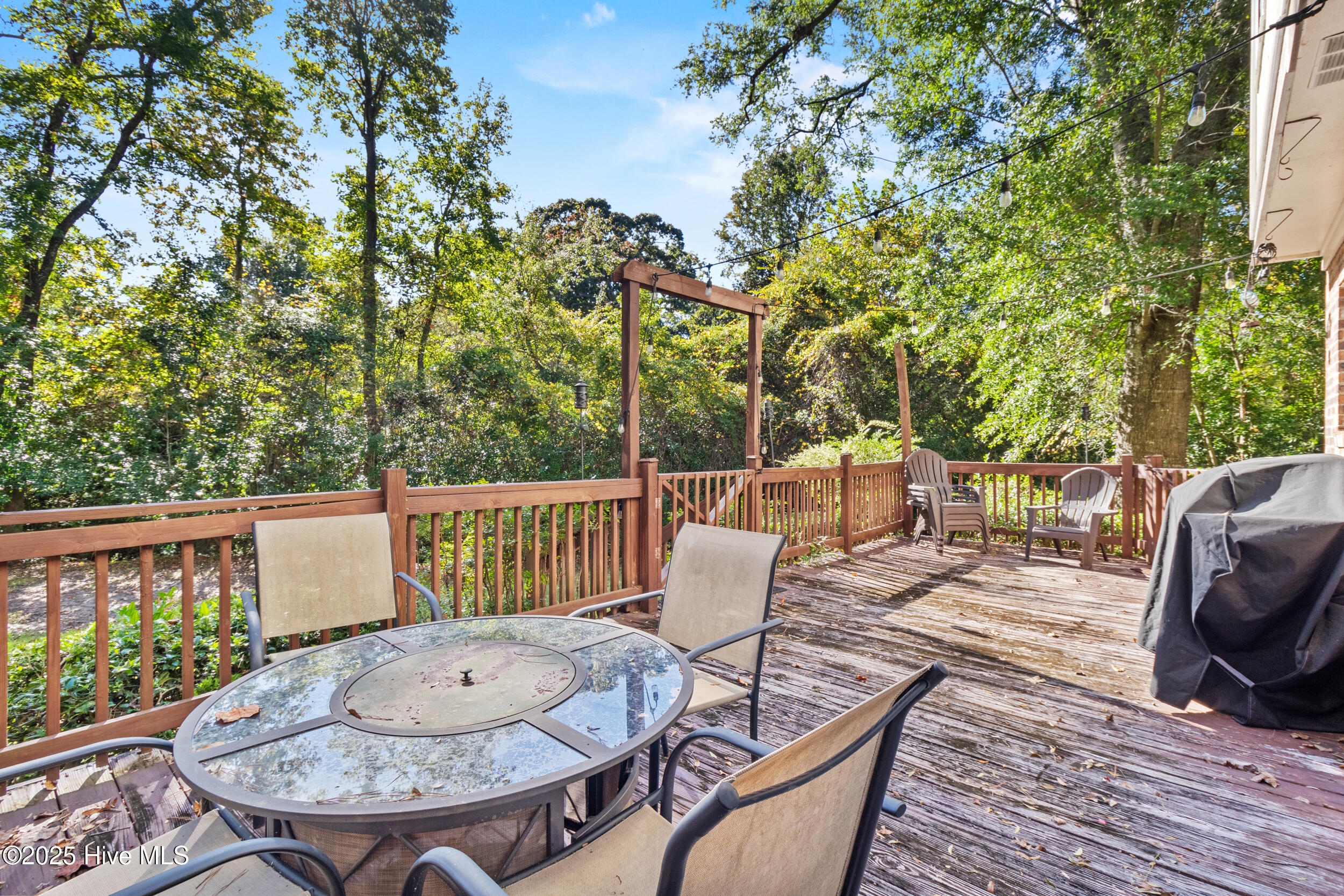 100537908 | Photo 29