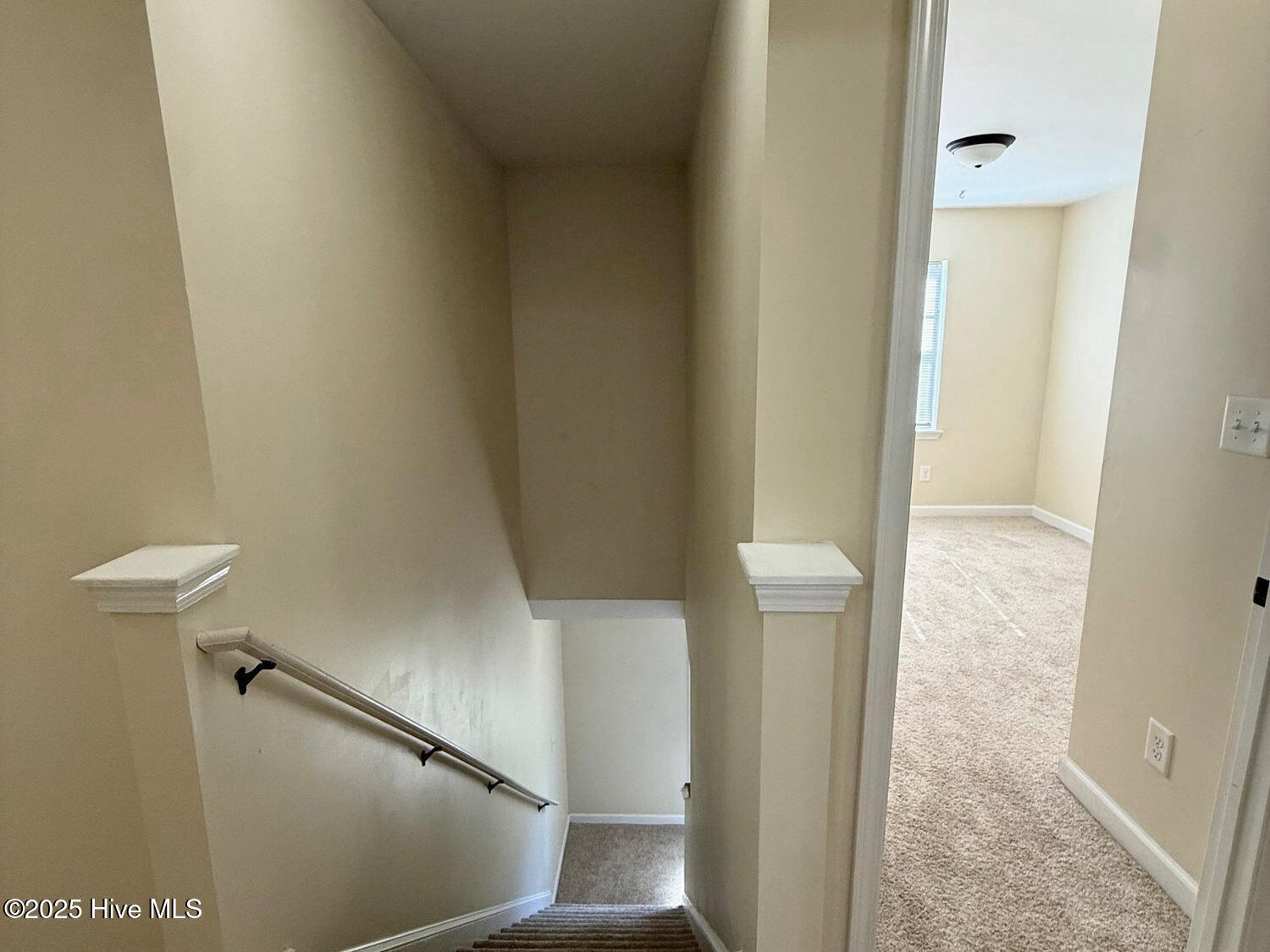 100542063 | Photo 13