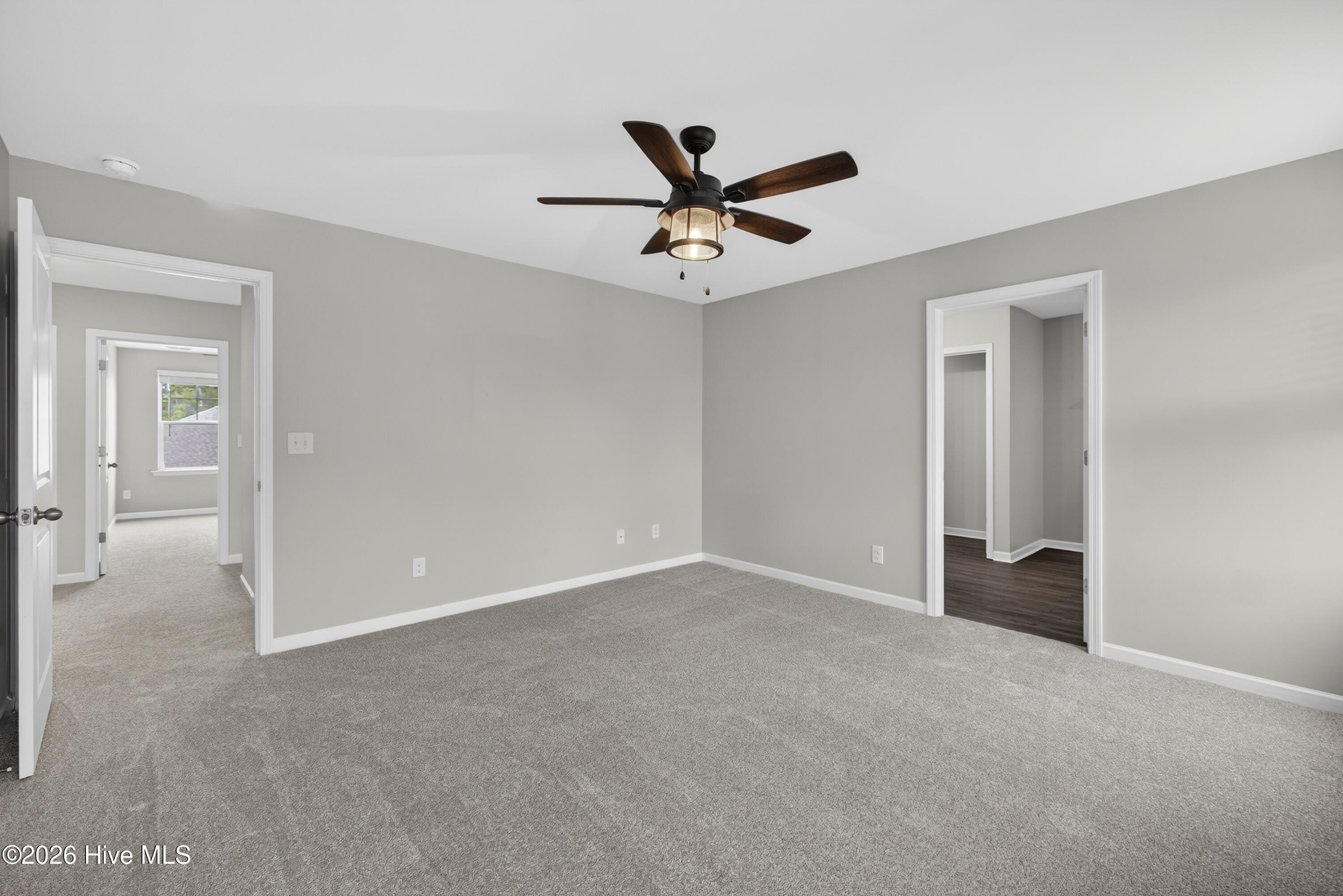 100558263 | Photo 22