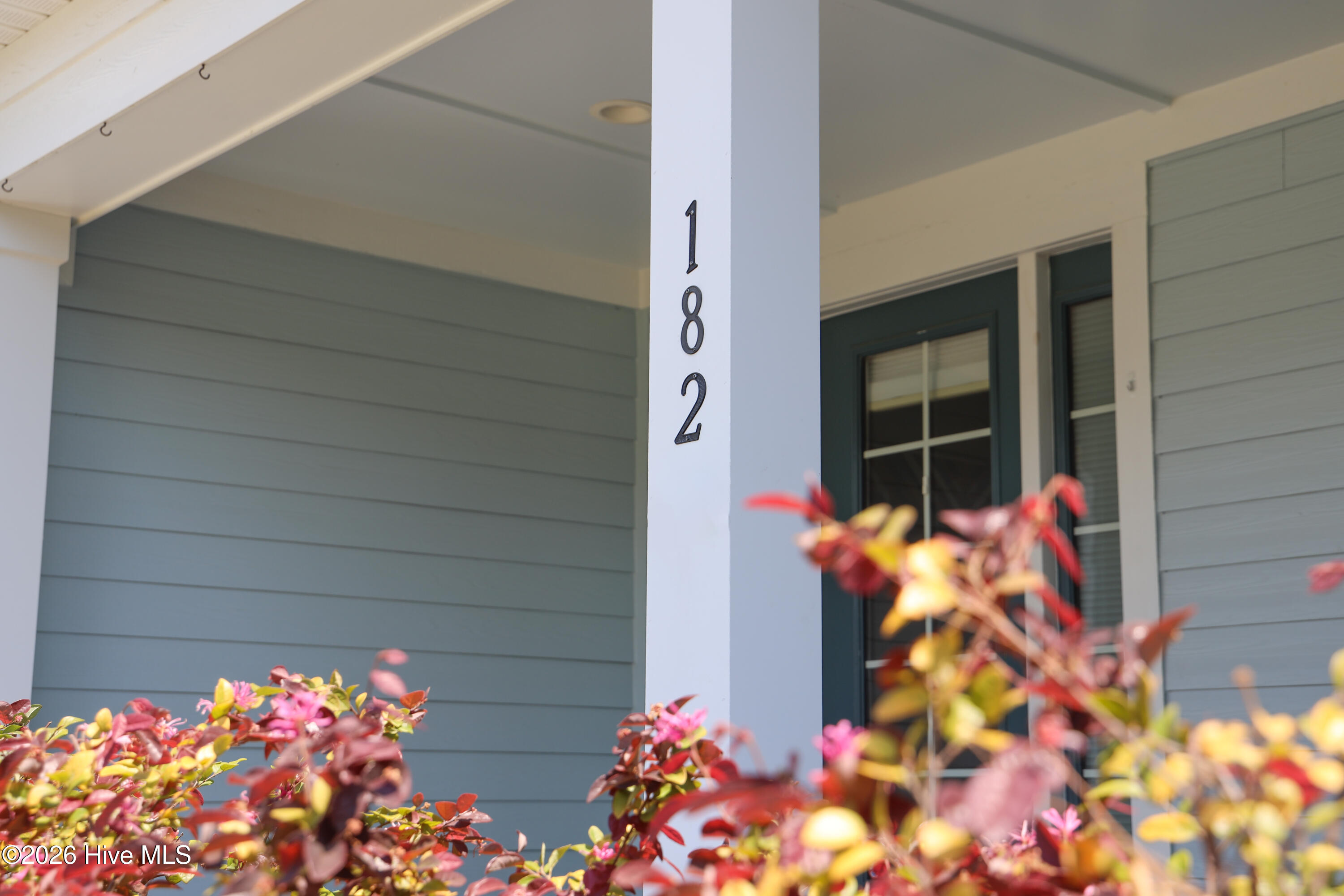 100567915 | Photo 110