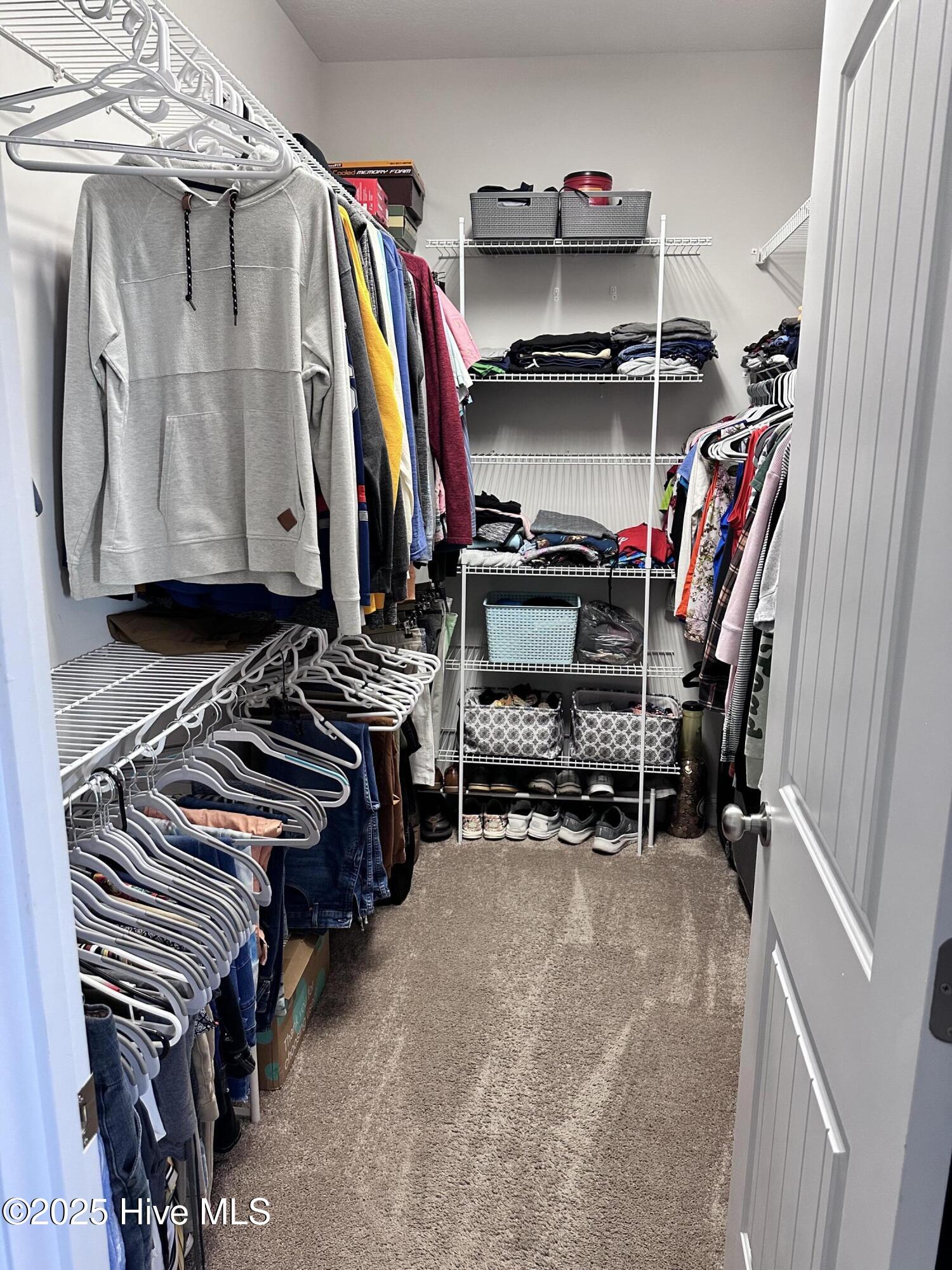 100540901 | Photo 60