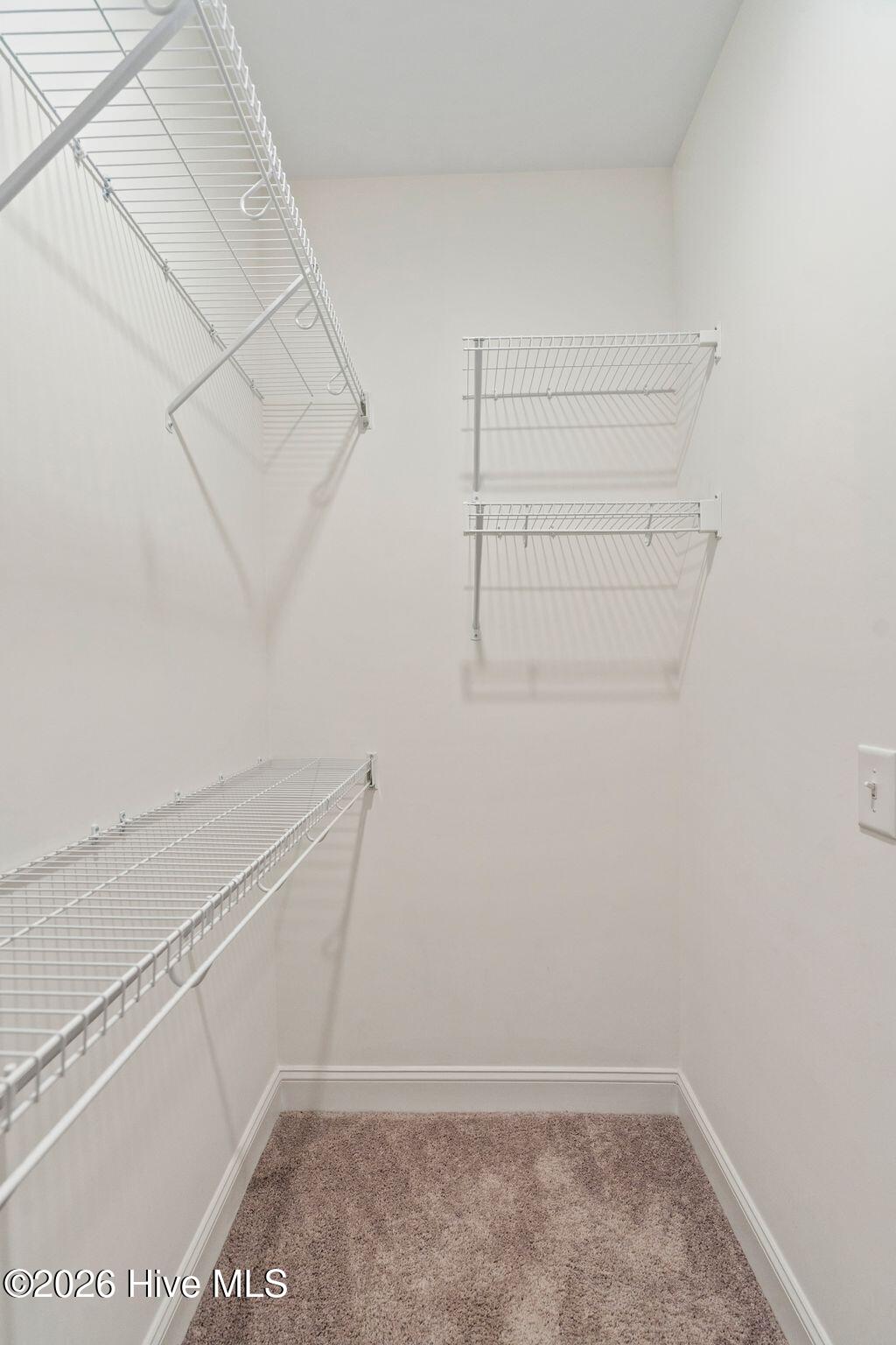 100591242 | Photo 27