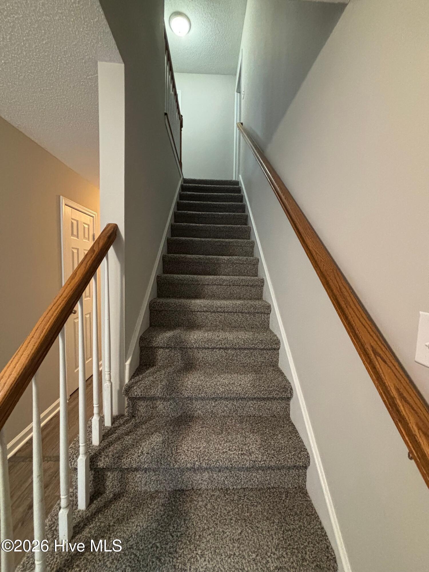 100552986 | Photo 15