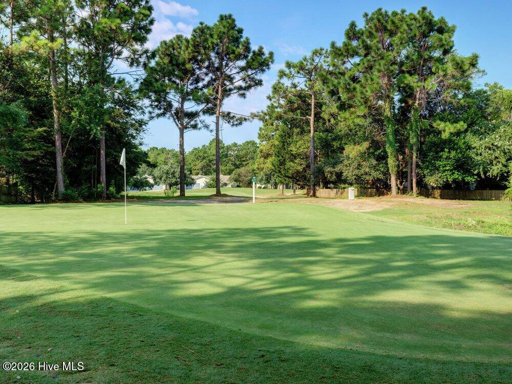 100558966 | Photo 40