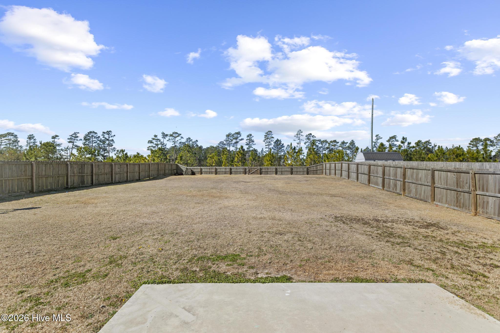 100557095 | Photo 39