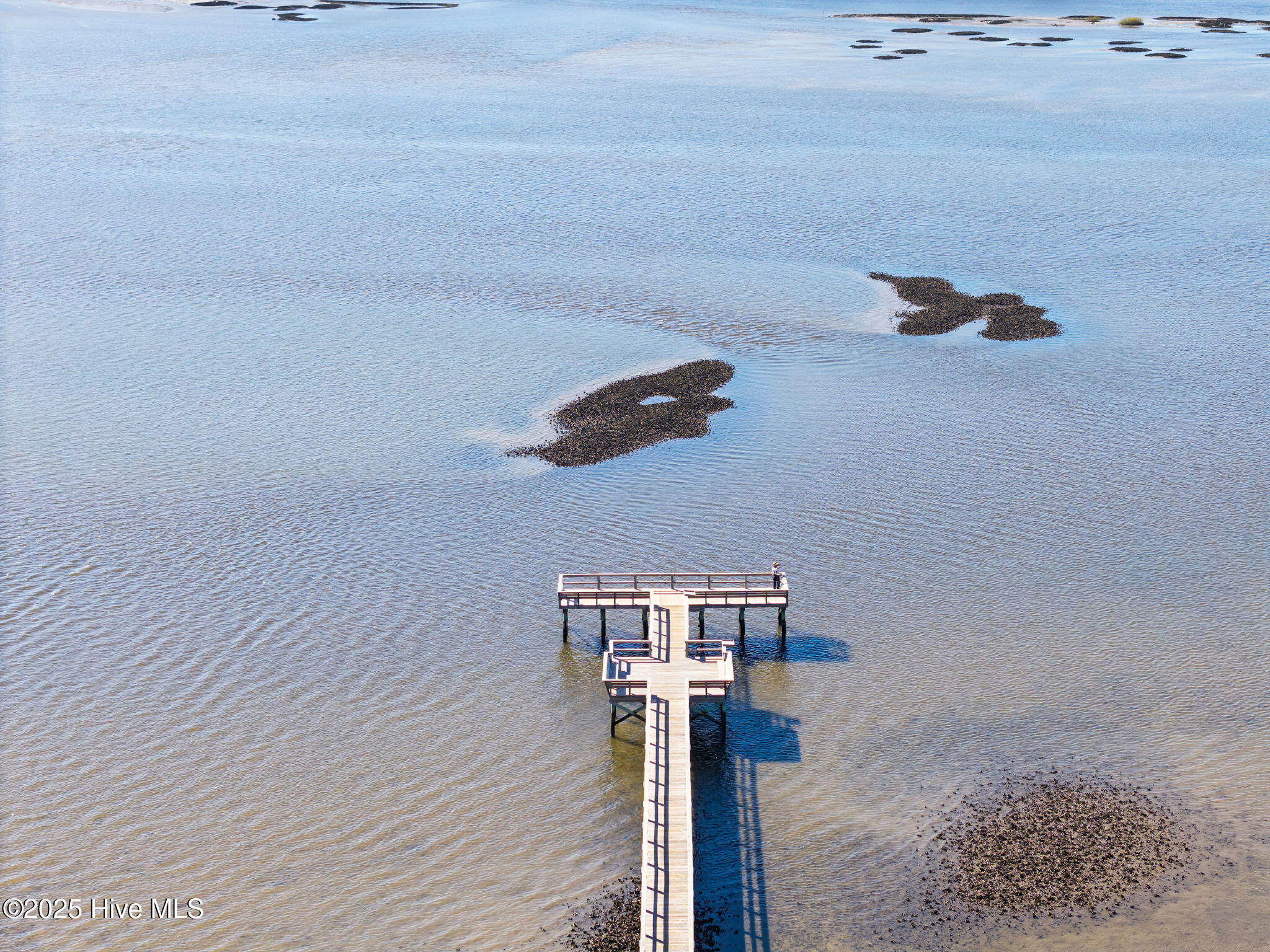 100541276 | Photo 51