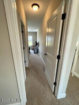 100539488 | Photo 27