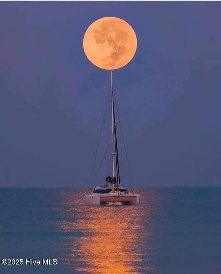 100568840 | Photo 15