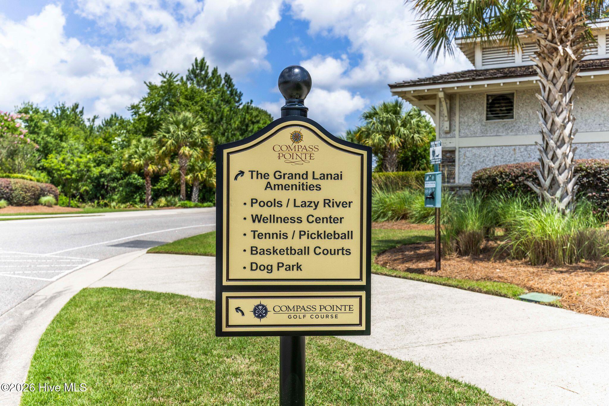 100566081 | Photo 48