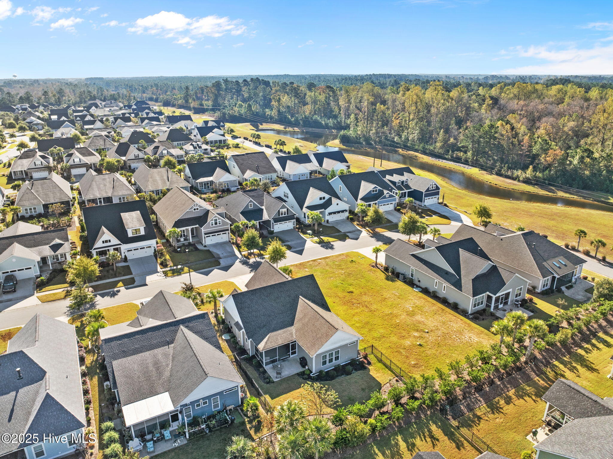 100537659 | Photo 56