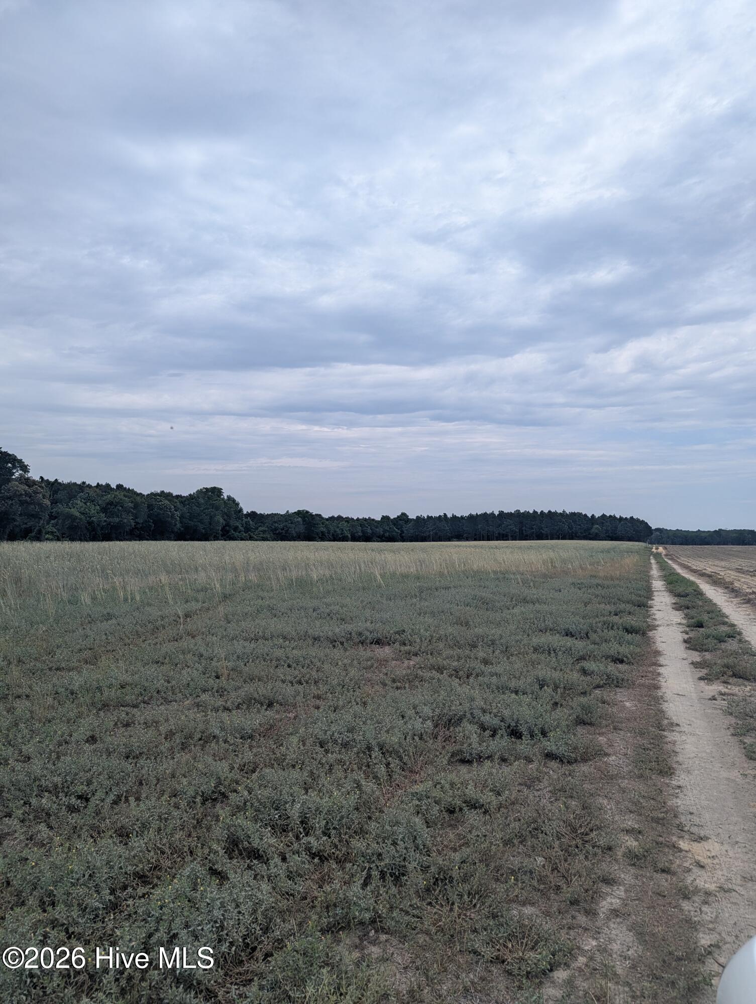 Farm Pic