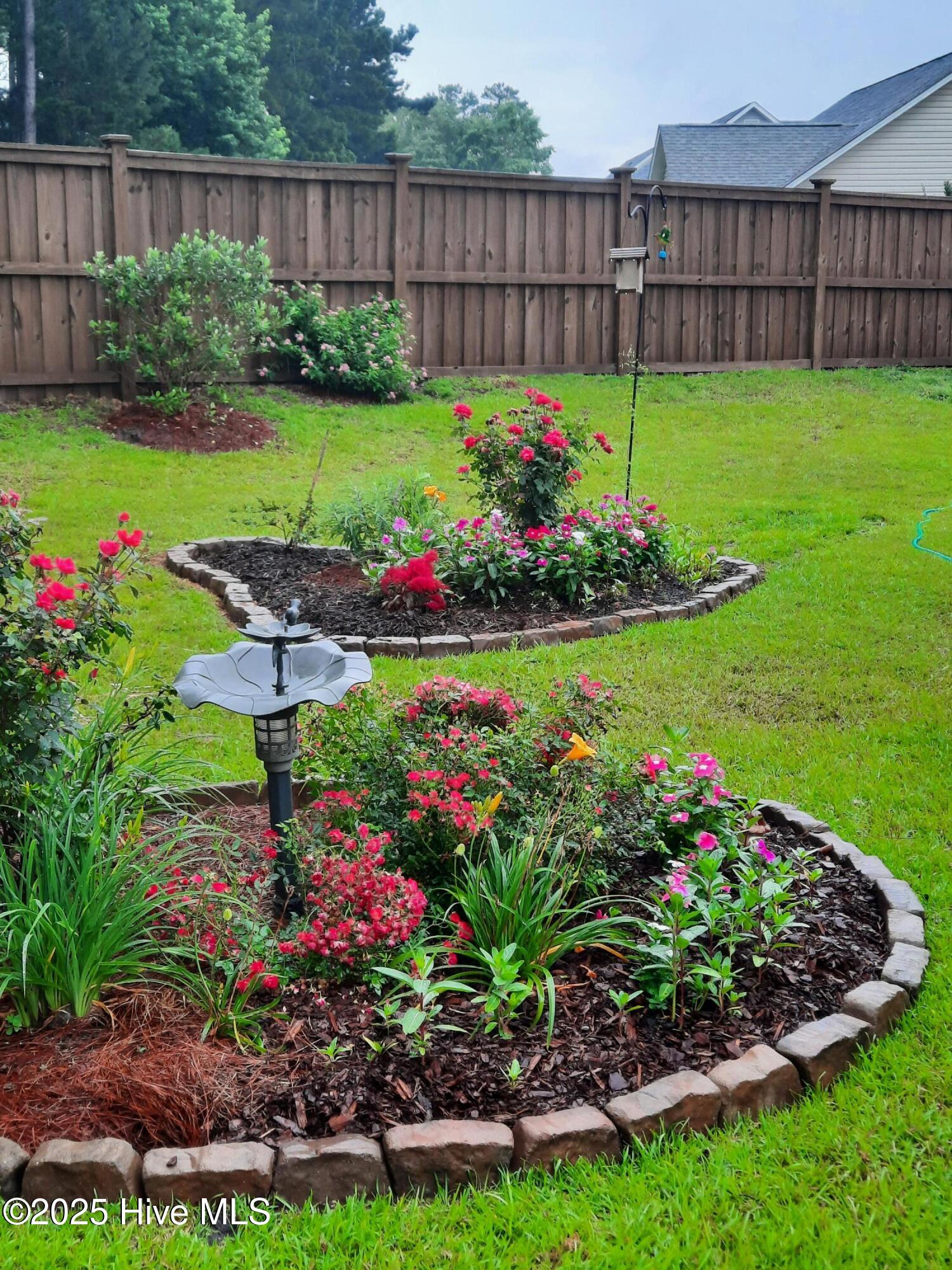 100525052 | Photo 34