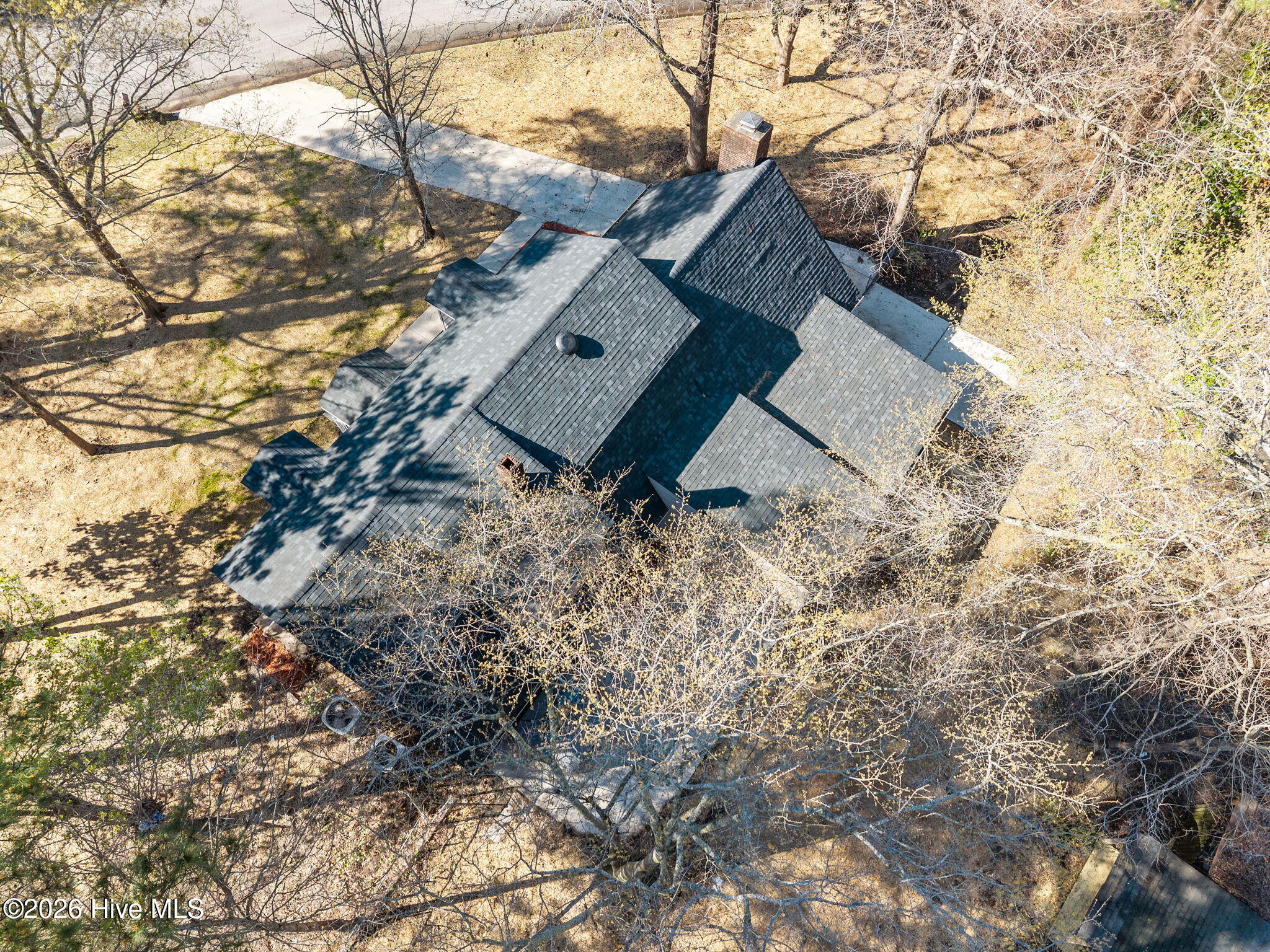 100561705 | Photo 47