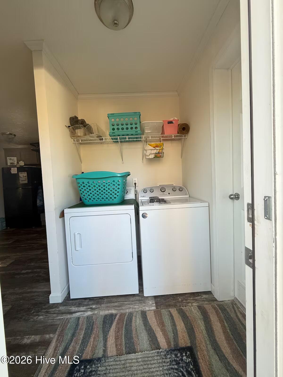 100559172 | Photo 11