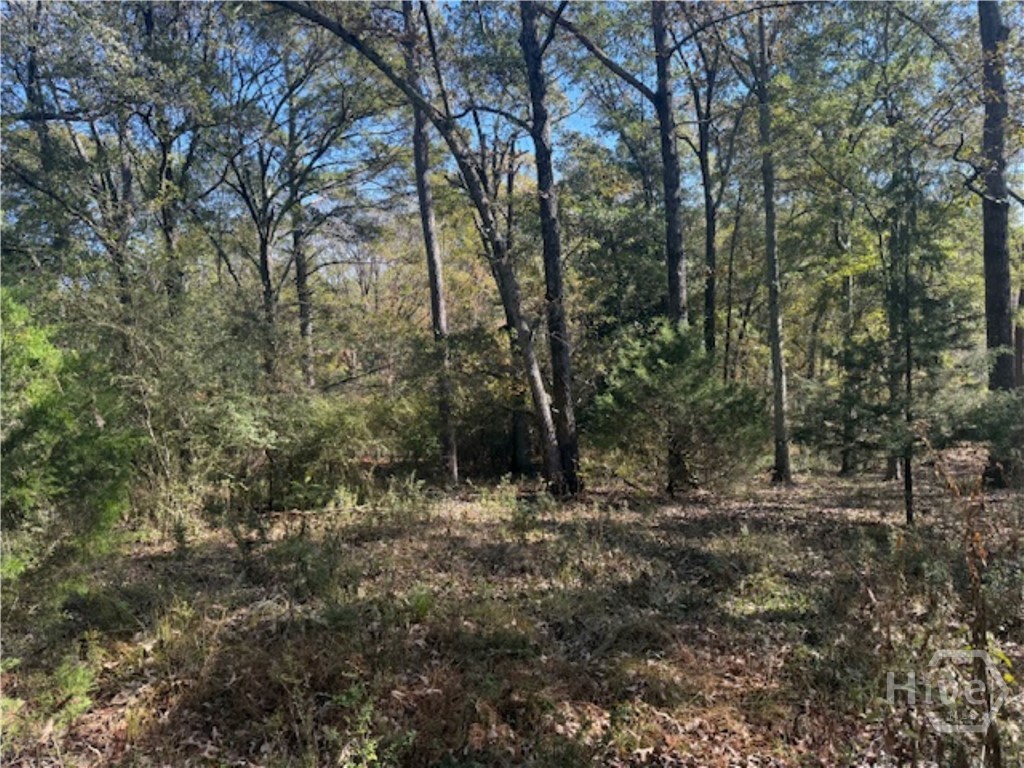 1240 Summit Drive, Watkinsville, GA, 30677