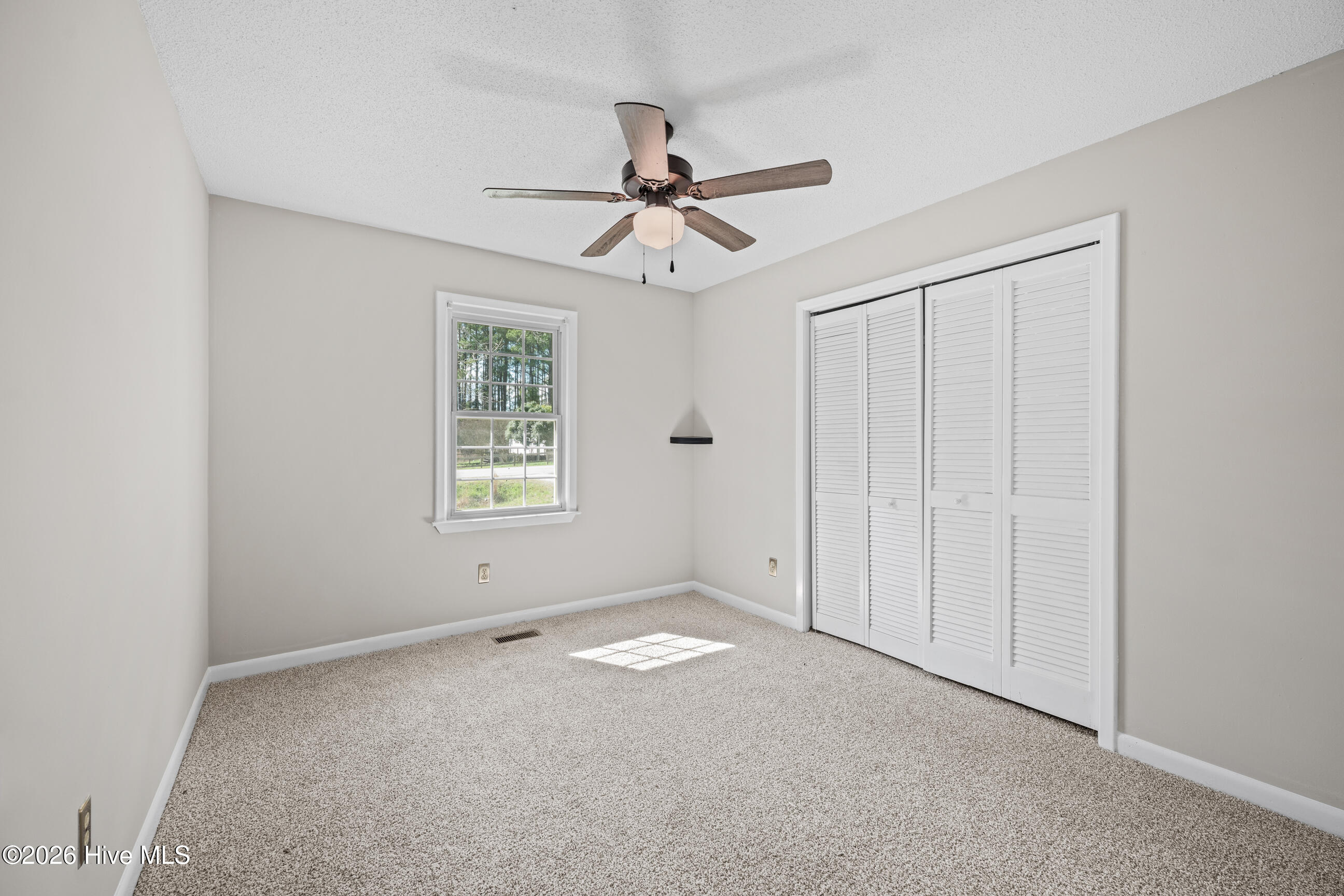 100559585 | Photo 11