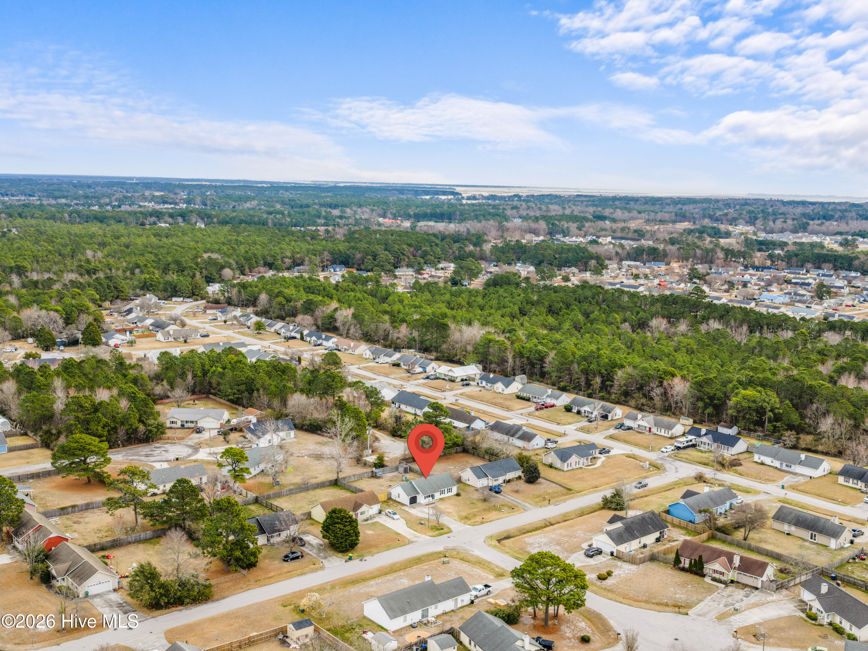 100556081 | Photo 36