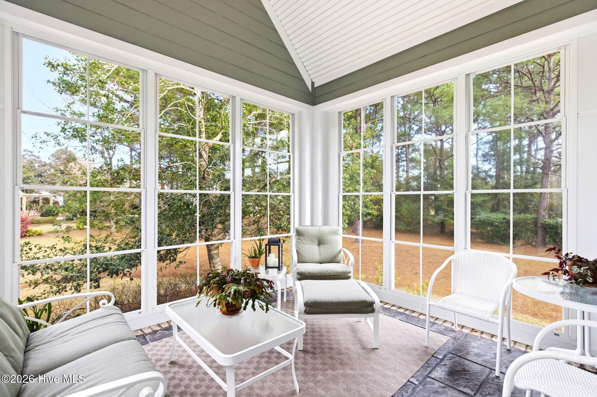 100564231 | Photo 58