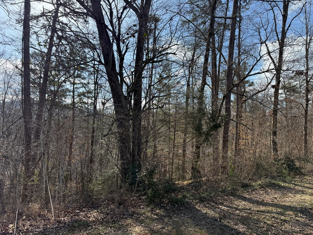 Exterior photo of 0 Sunrise Street, Murphy, NC 28906. MLS: 98525343