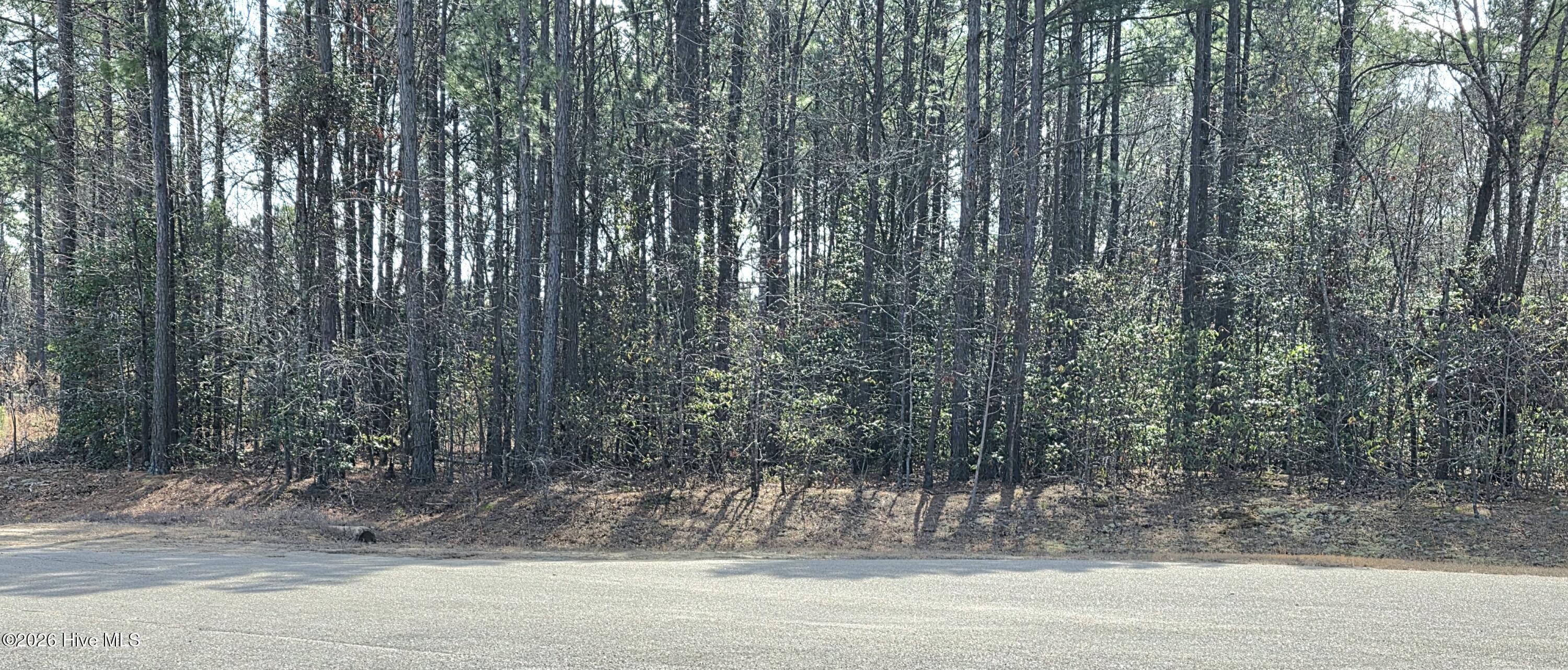 Homes for sale in Dunn, NC | 275 Raynor Sands Dr, Dunn, NC 28334 | MLS# 100558910