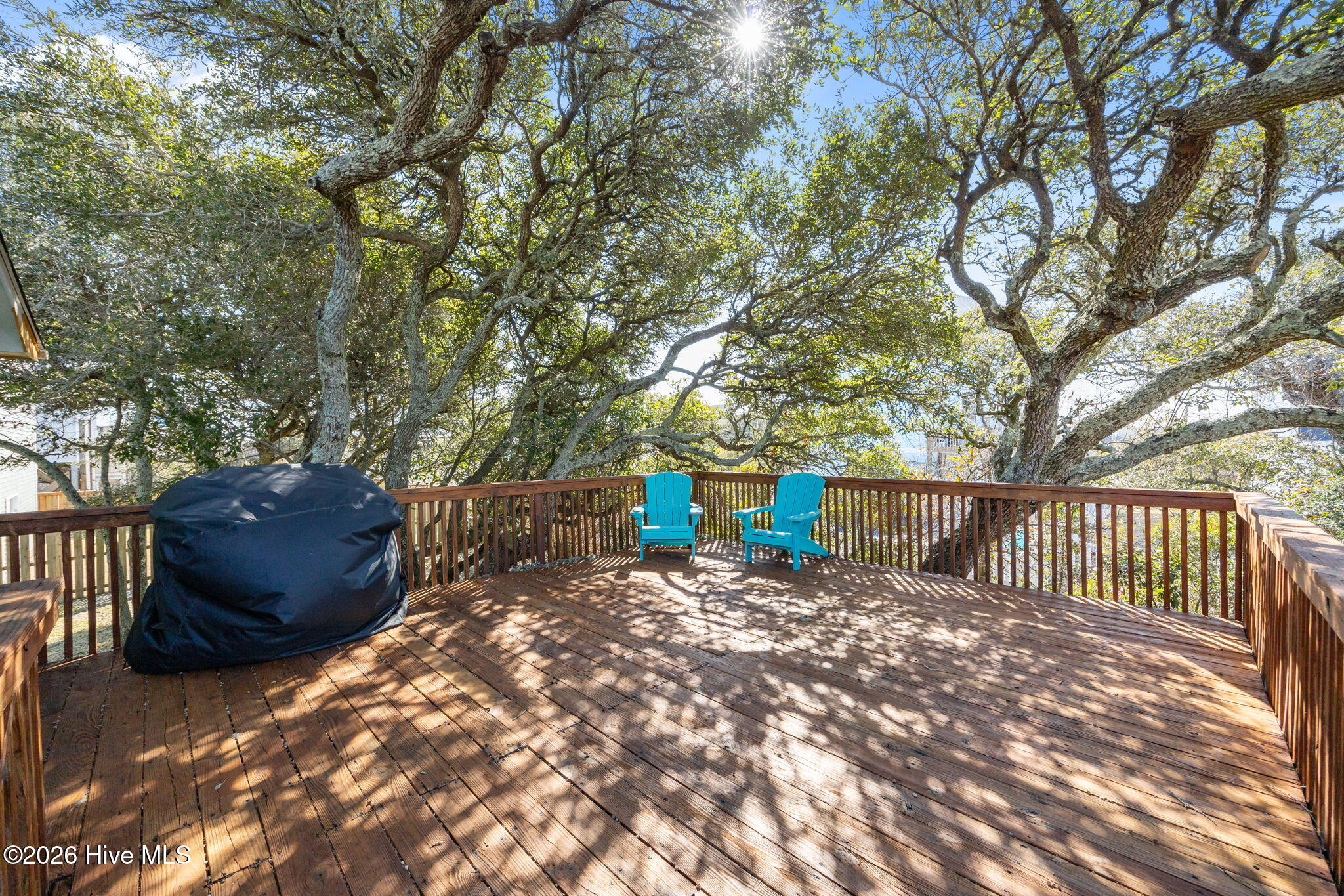 100553918 | Photo 41