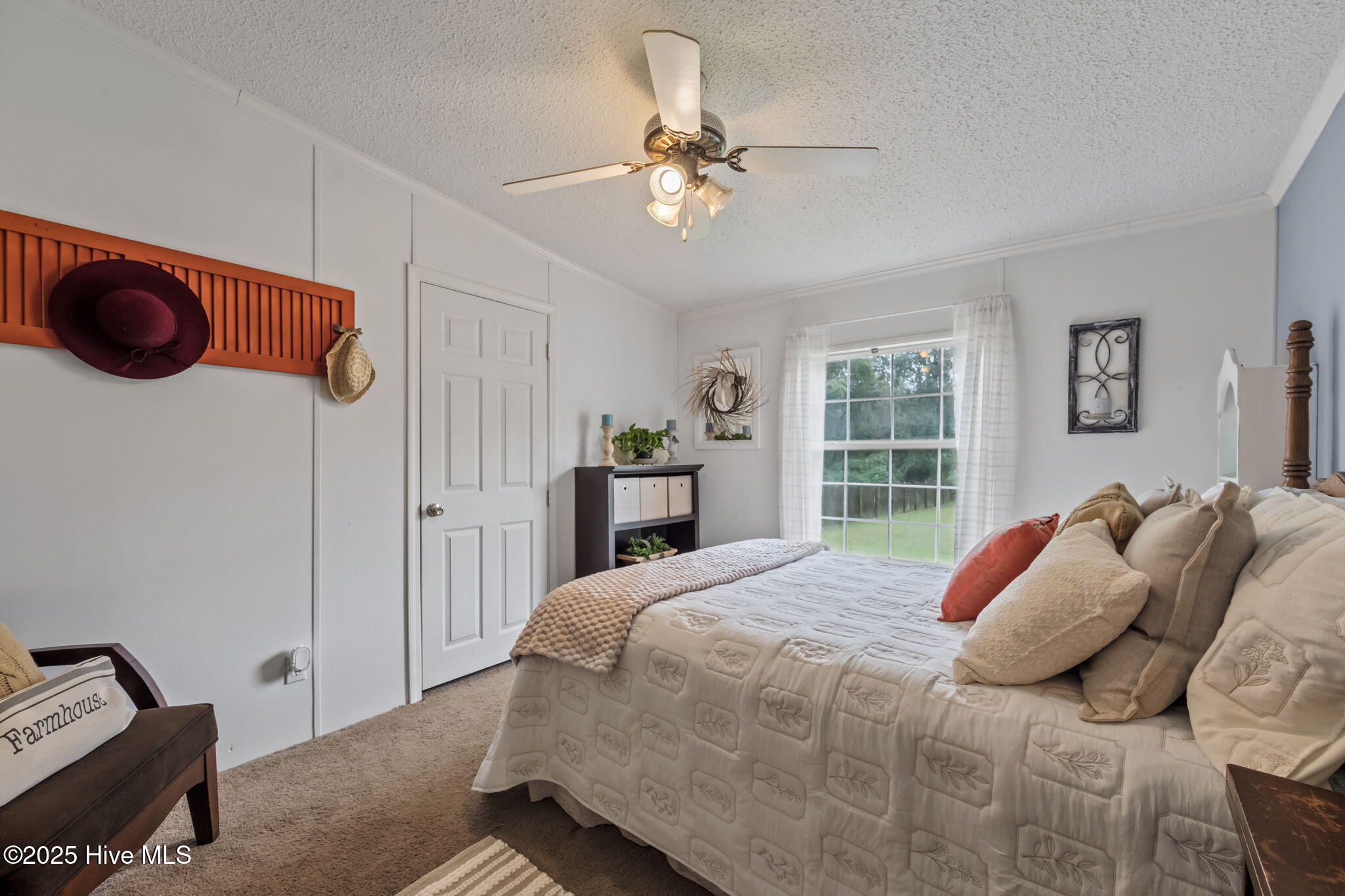 100537137 | Photo 38