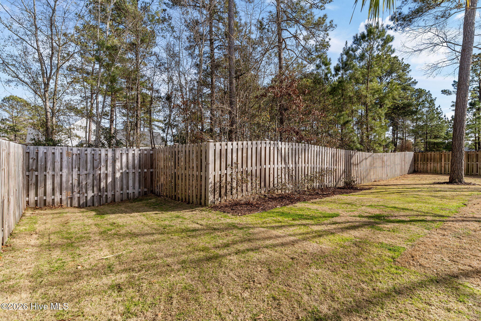 100552545 | Photo 55