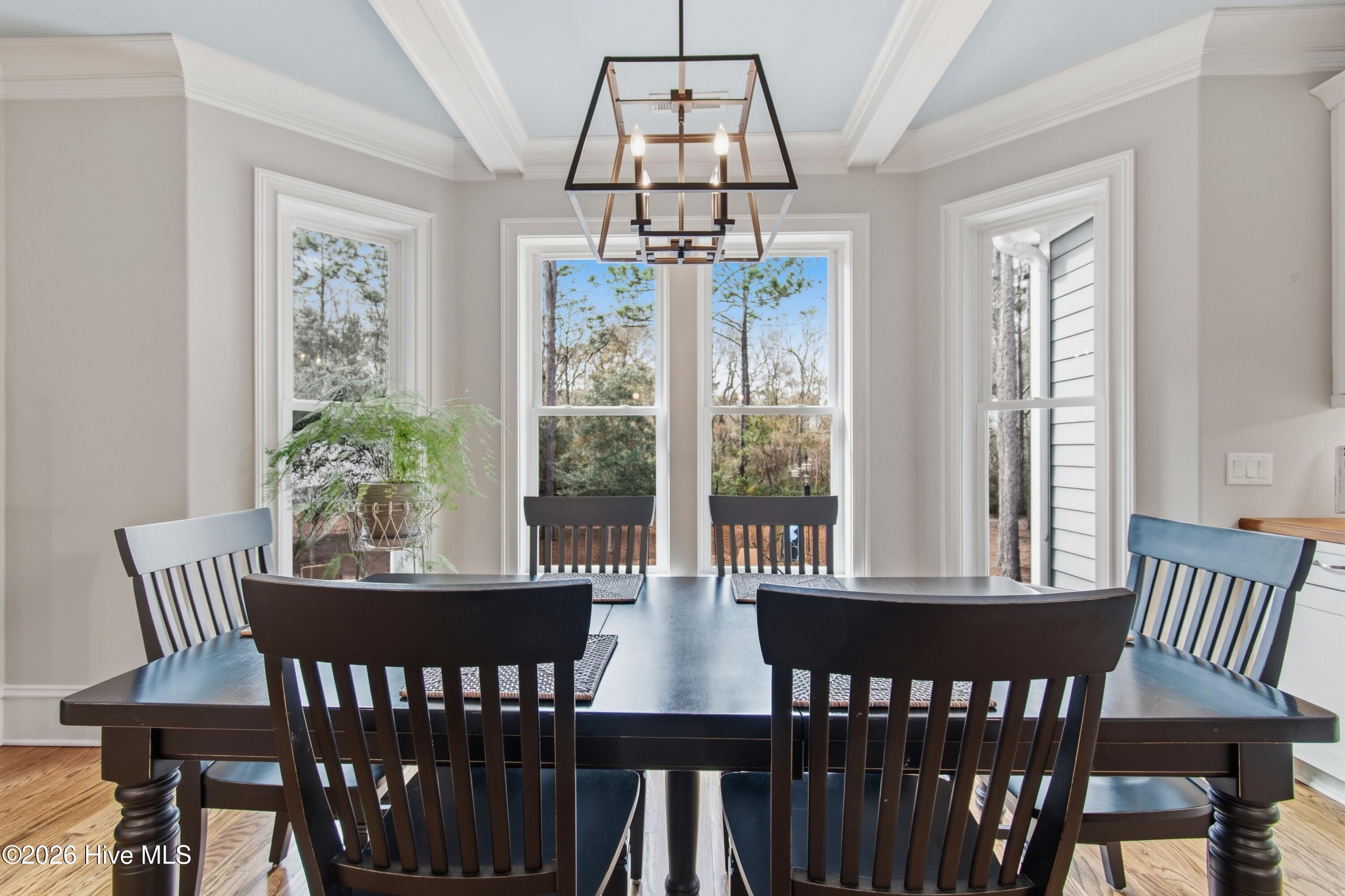 100555606 | Photo 24