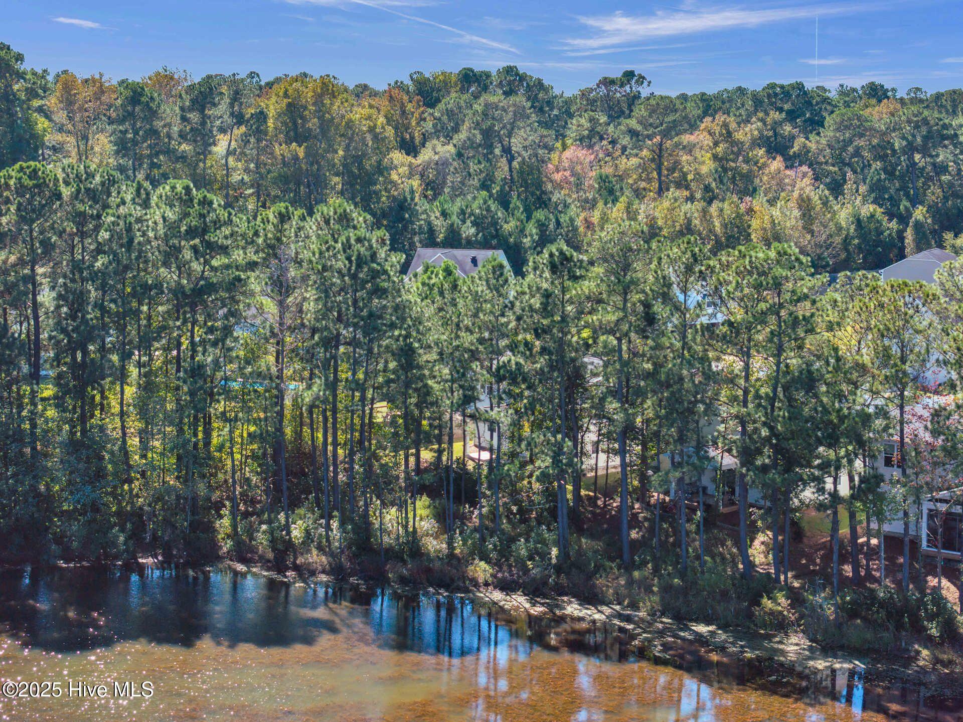 100537443 | Photo 42