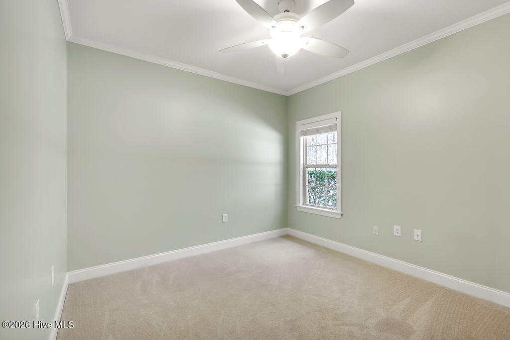 100548376 | Photo 34