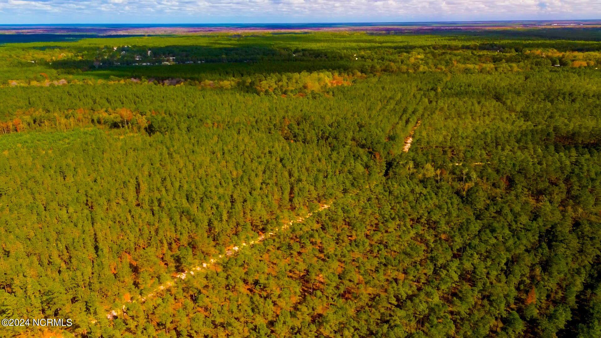 100429451 | Photo 14