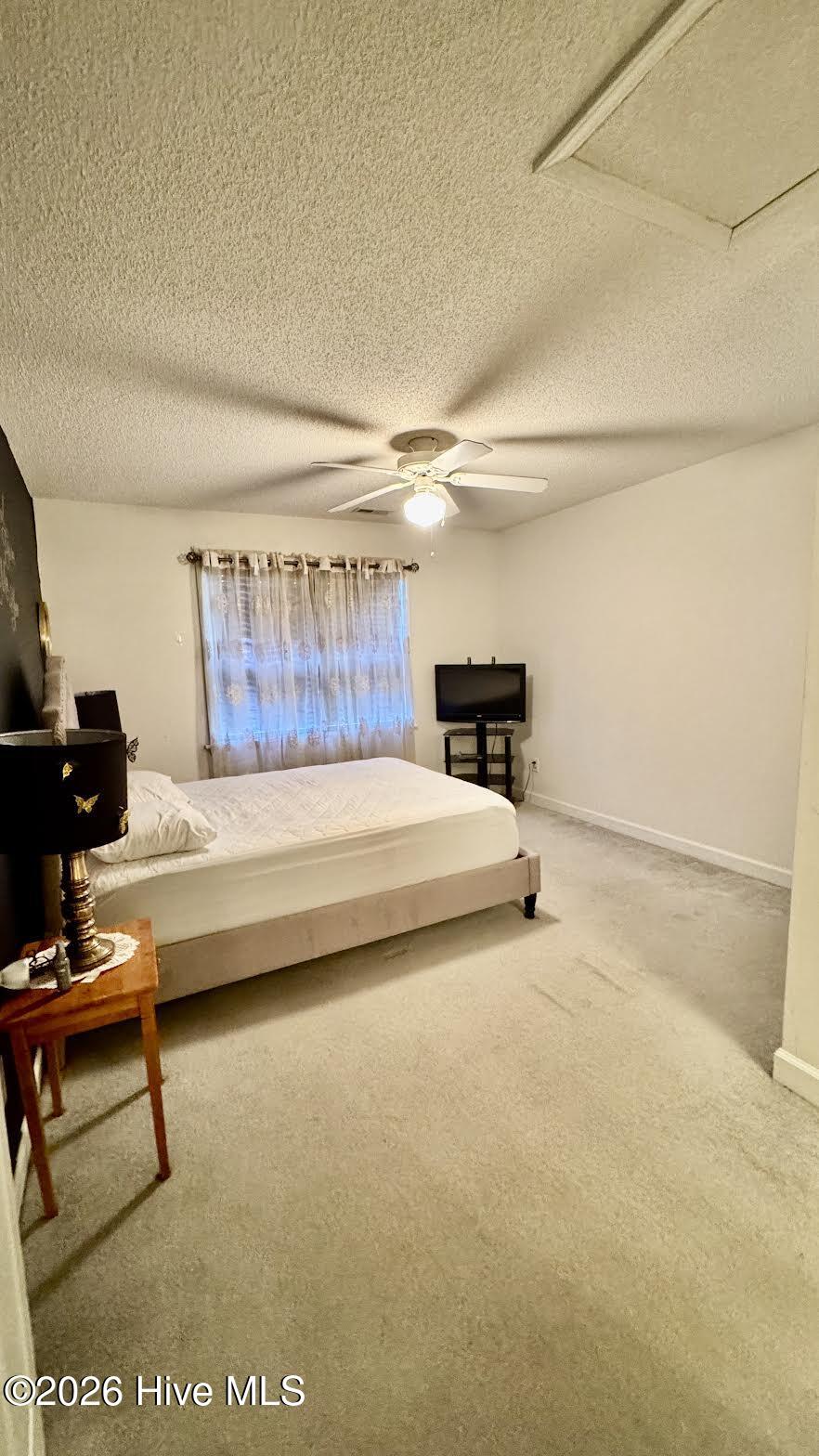 100556461 | Photo 12