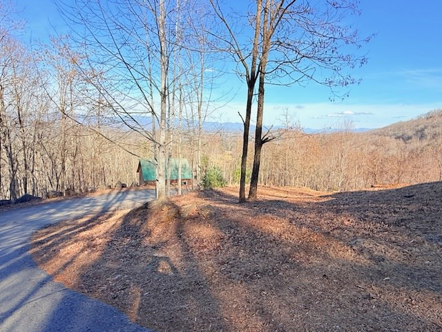 745 Buck Ridge Drive, Murphy, NC 28906 Listing Photo  34