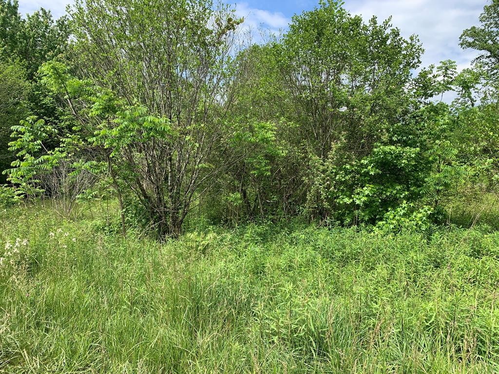 Exterior photo of 17.76 ac Greasy Creek Road, Murphy, NC 28906. MLS: 98544622