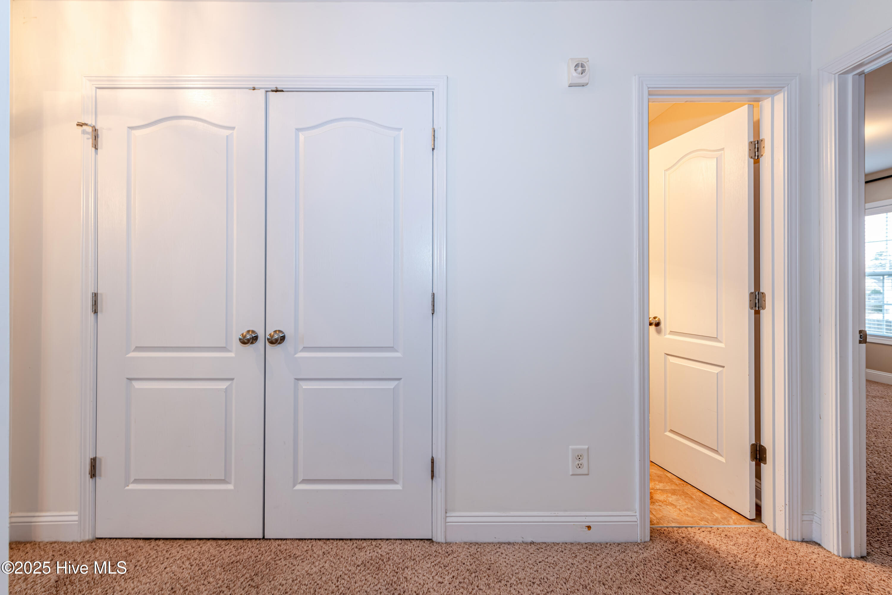 100546682 | Photo 38