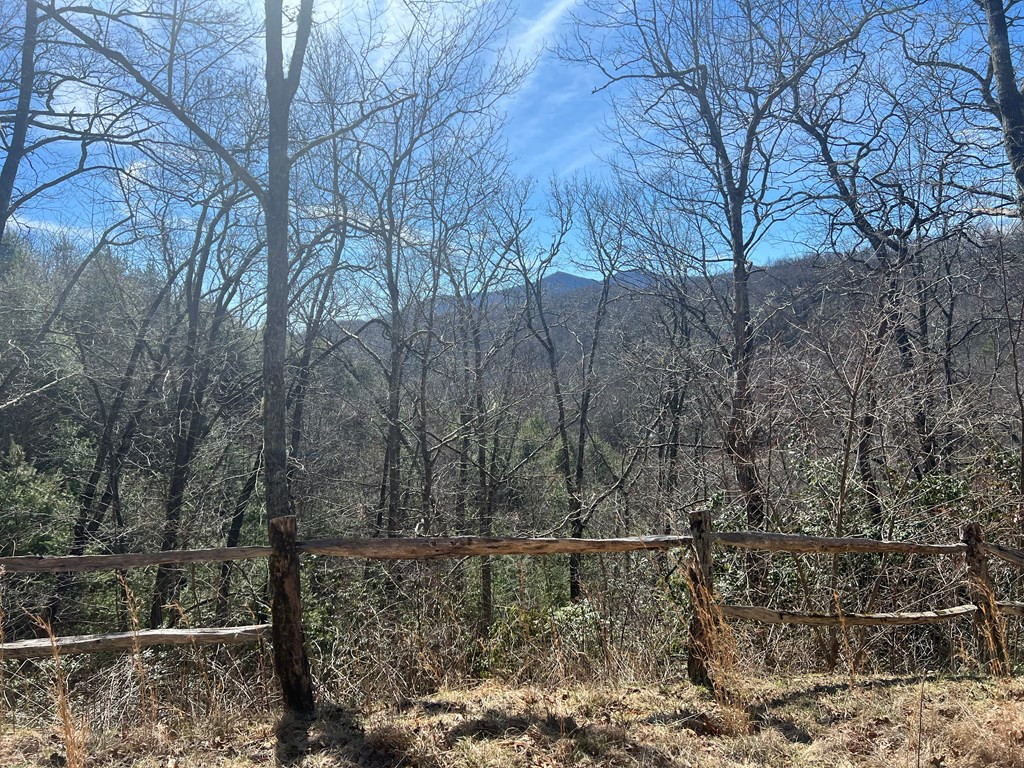Homes for sale in Nantahala, NC | Lot 19 Preserve Valley Rd, Nantahala, NC 28781 | MLS# 98525030