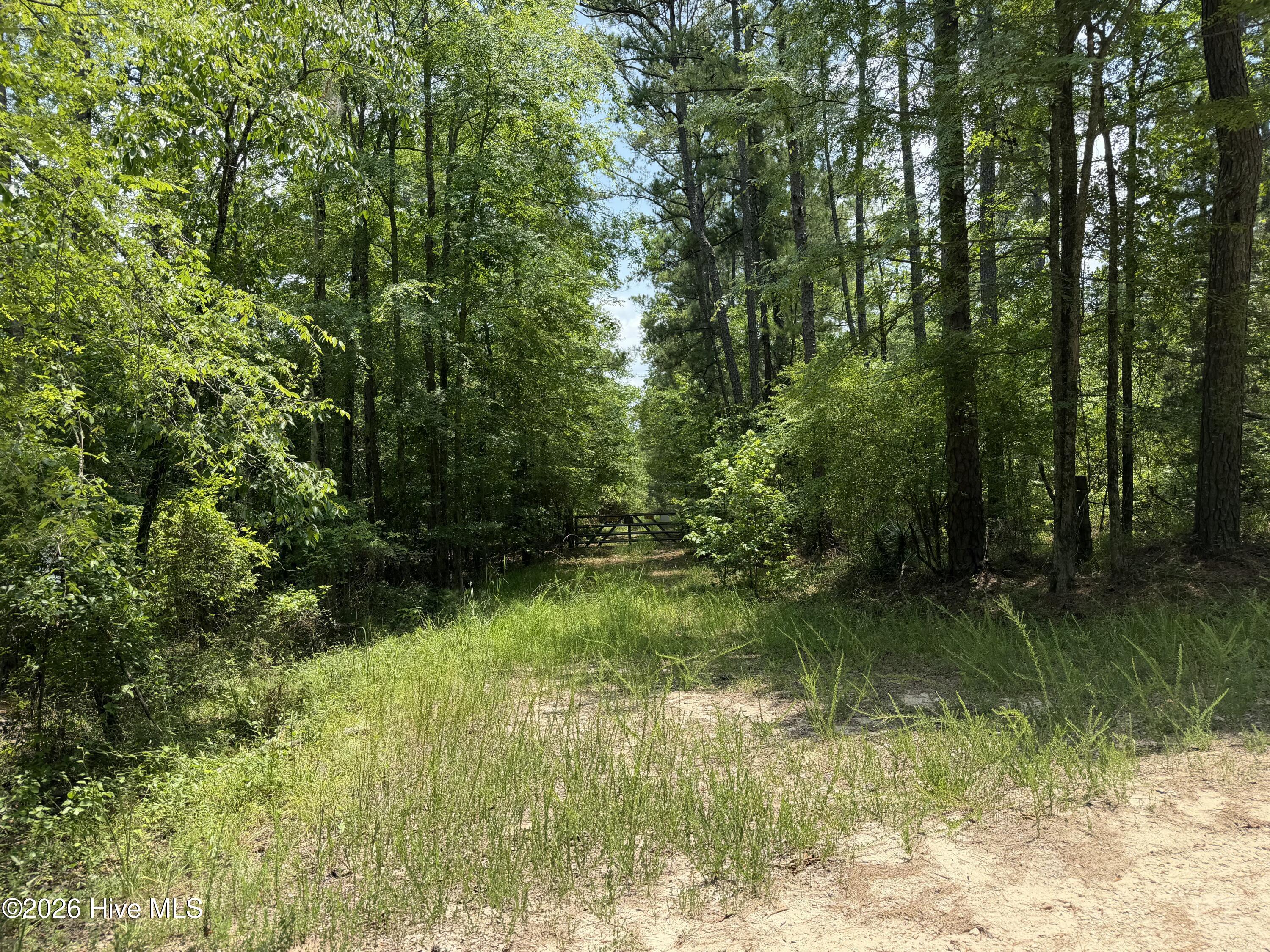 Photo of 0 Burks Mountain  Road Appling GA 30802 MLS #: 100586342