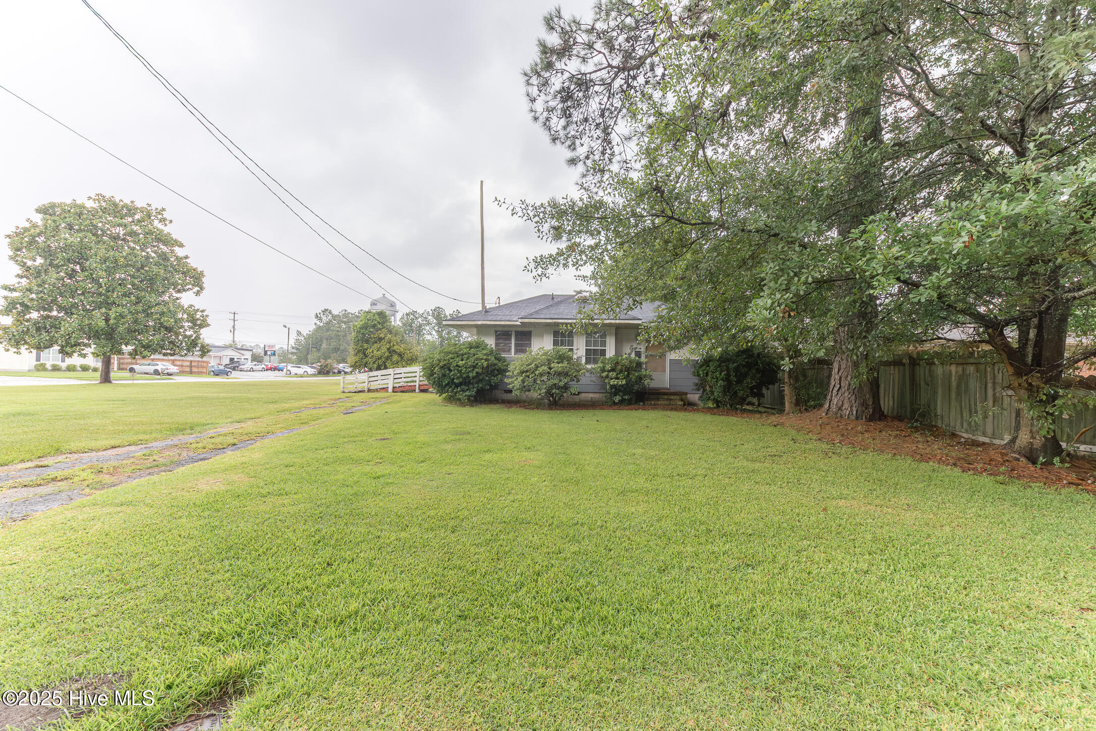 100523491 | Photo 49