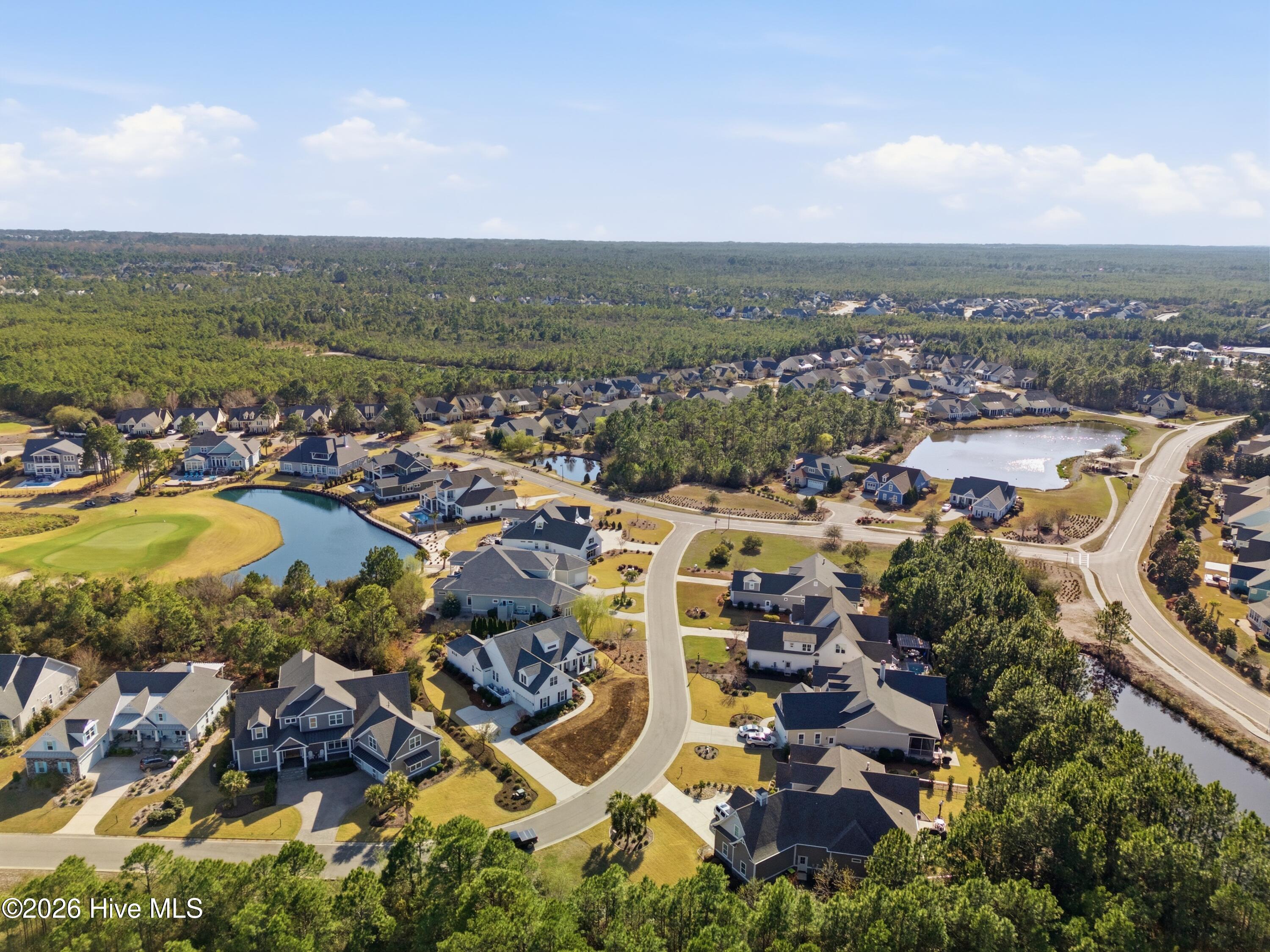 100560697 | Photo 76