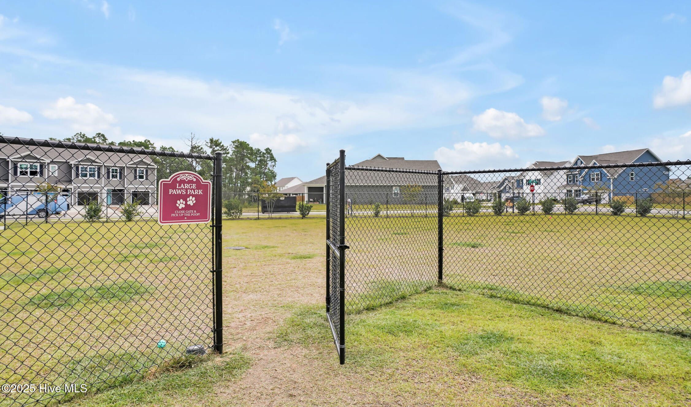 100547163 | Photo 49