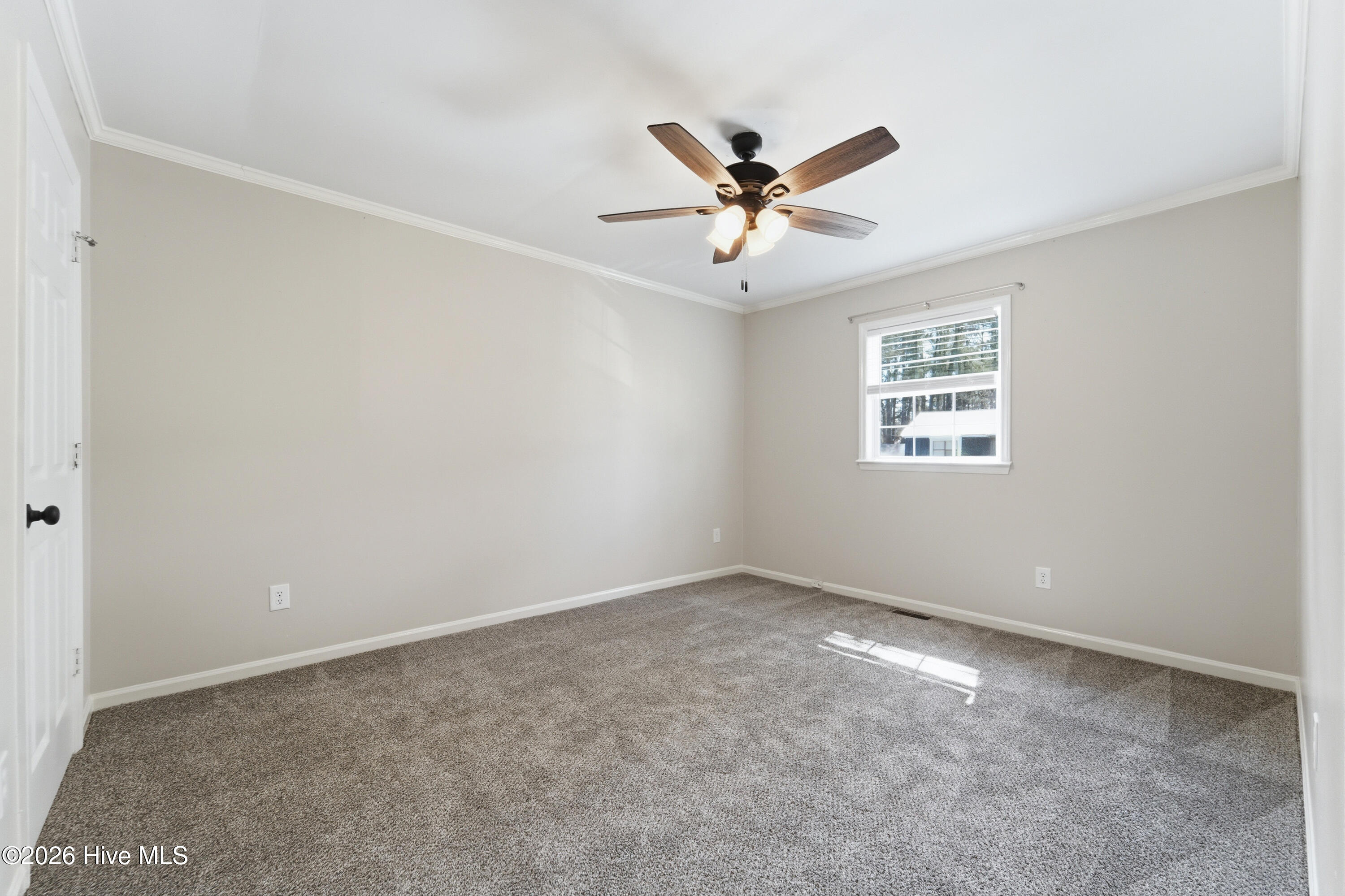 100559810 | Photo 16