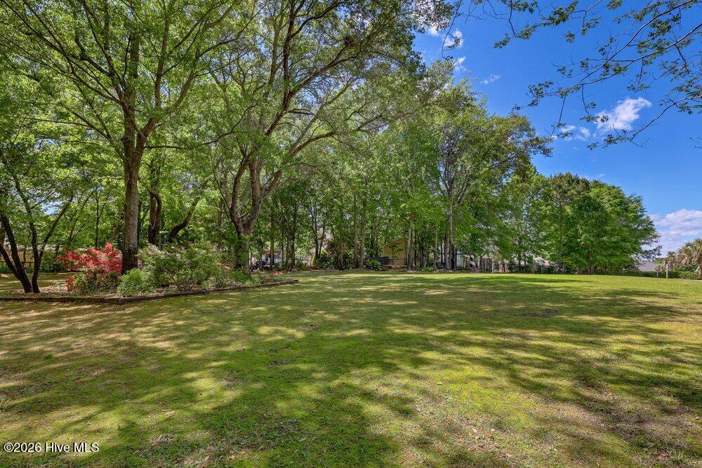 100569343 | Photo 46