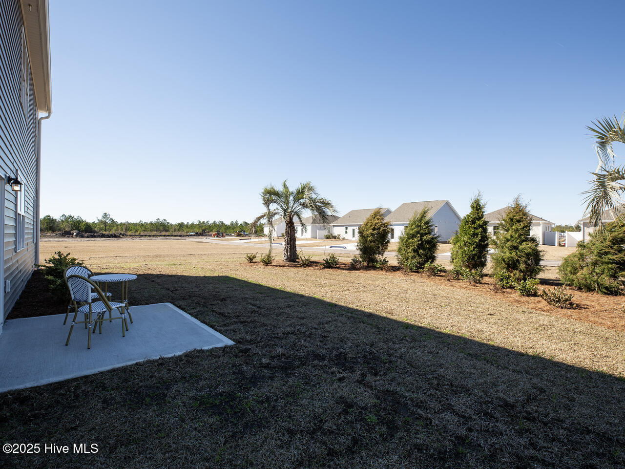 100539719 | Photo 54