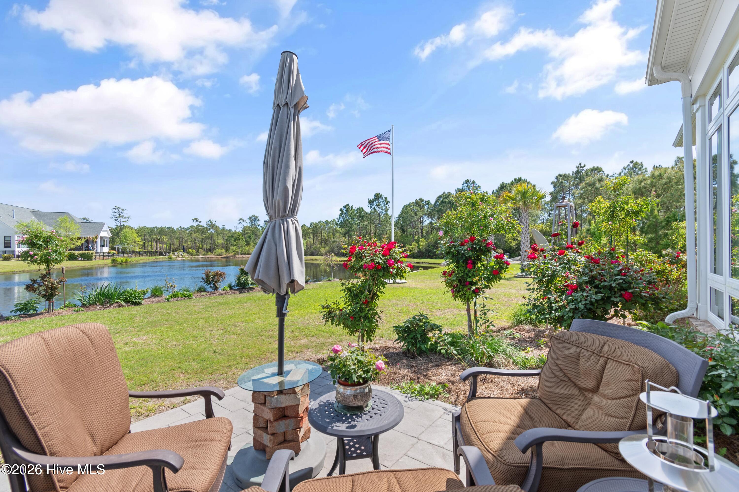 100560288 | Photo 93