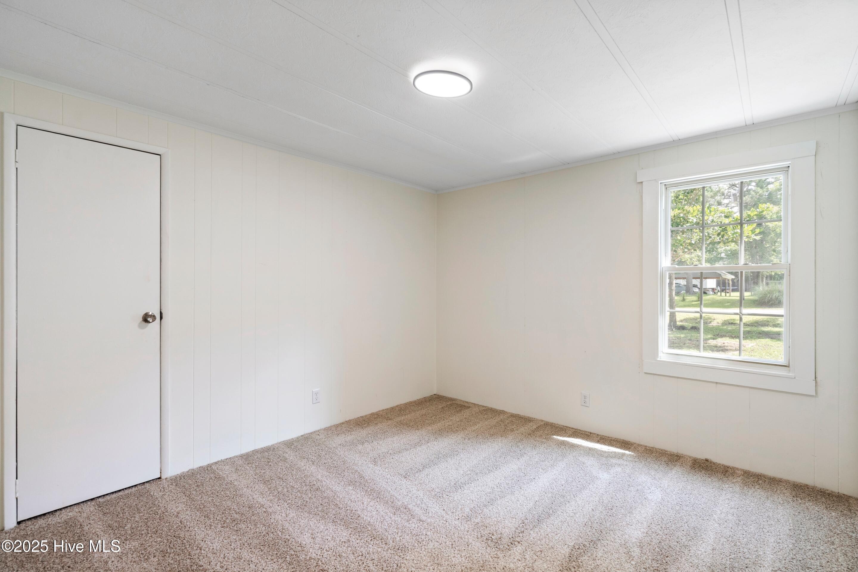 100514481 | Photo 12