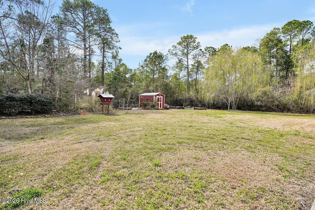 100560144 | Photo 32