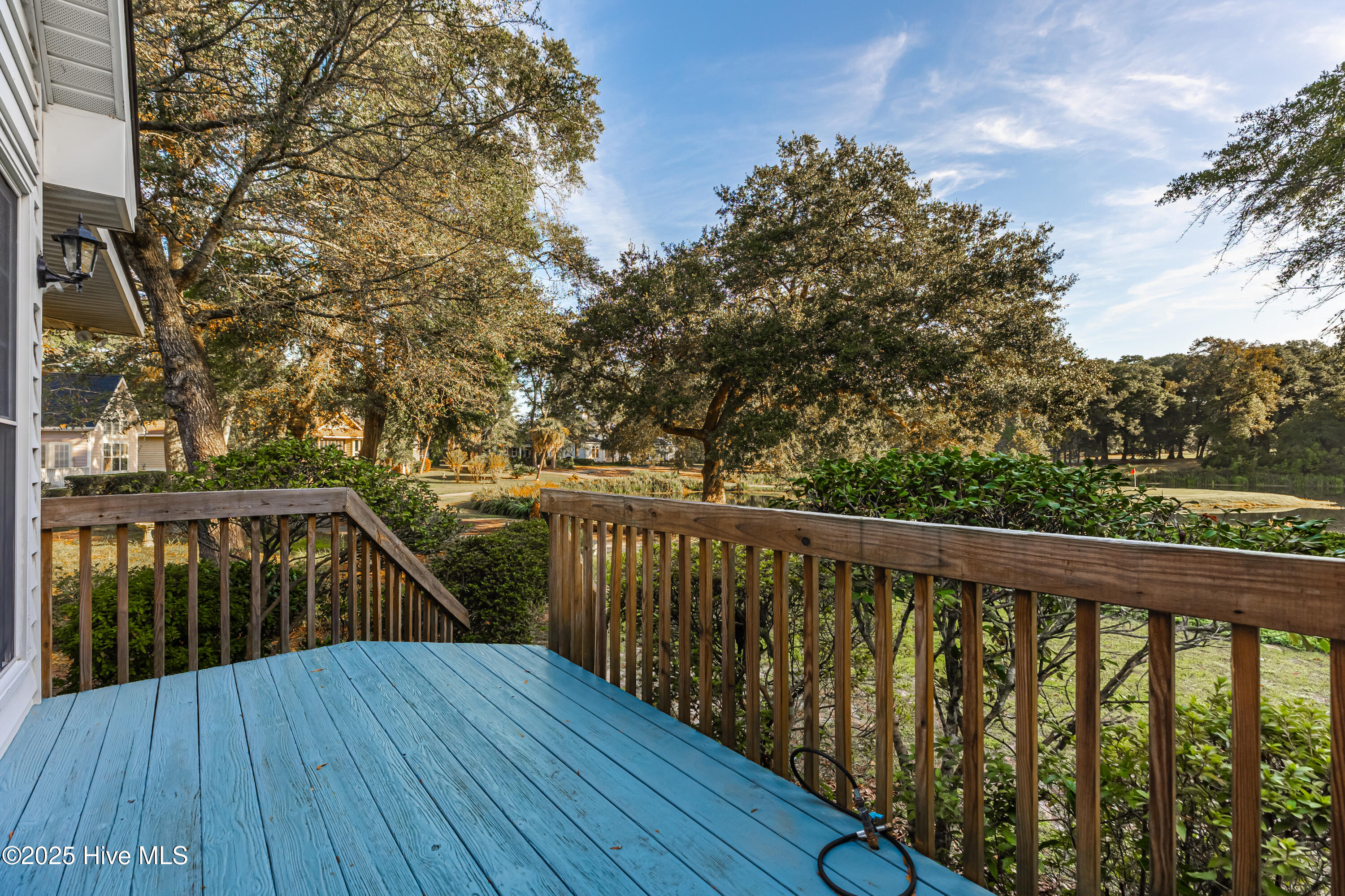 100535569 | Photo 31