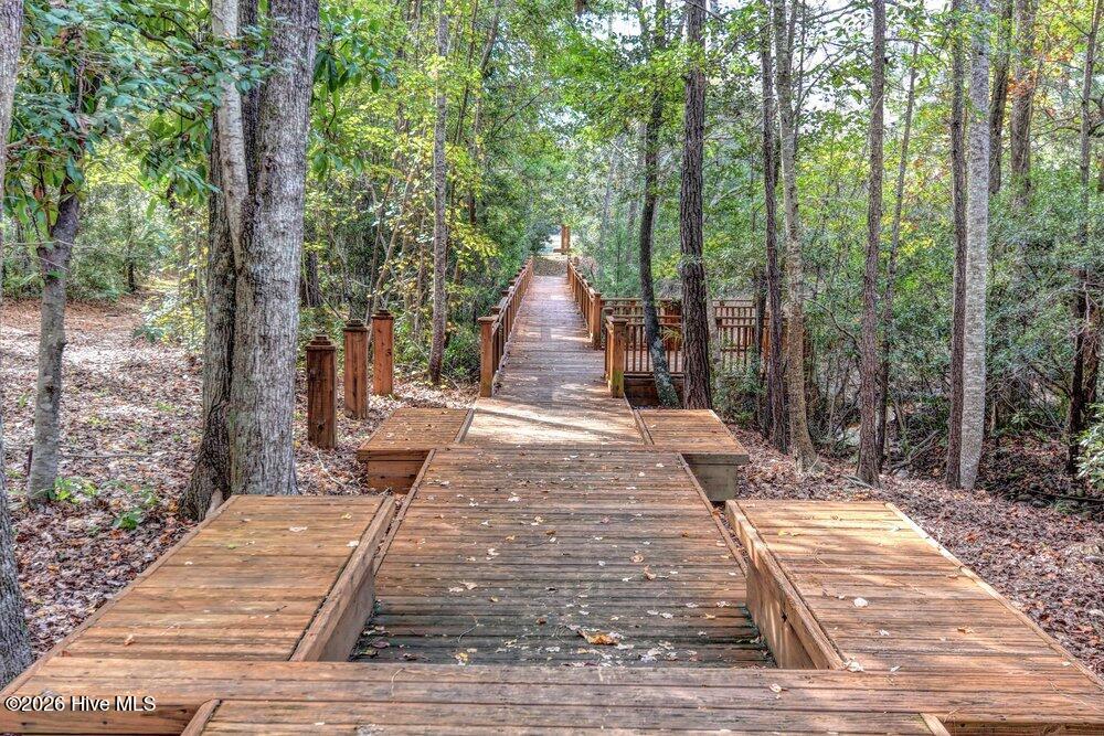 100563966 | Photo 65