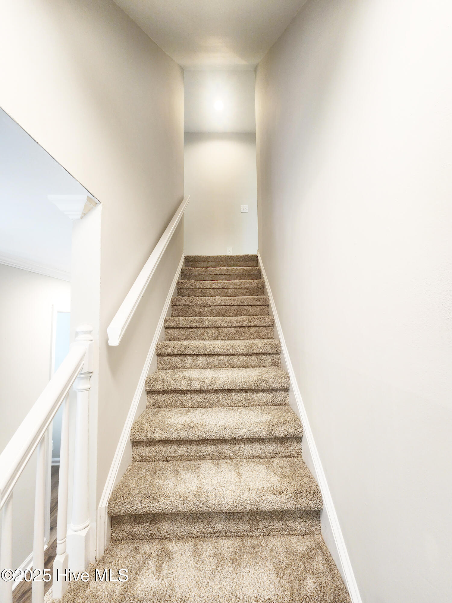 100517489 | Photo 52