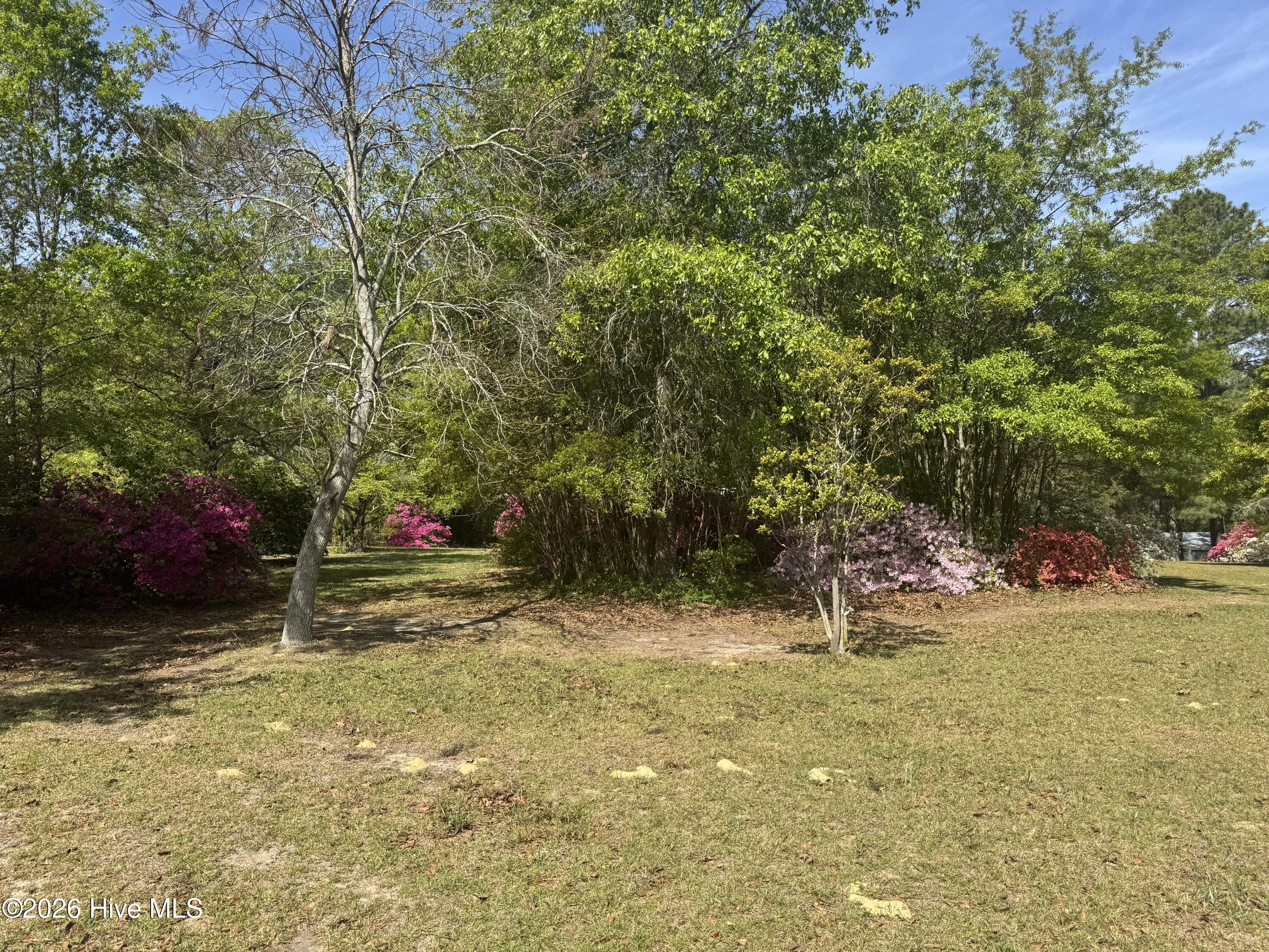 490 Springhill Church Road, Hamlet, NC, 28345